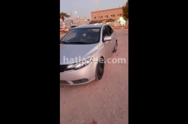 Rio Kia 12 Al Baha Silver Car For Sale Hatla2ee