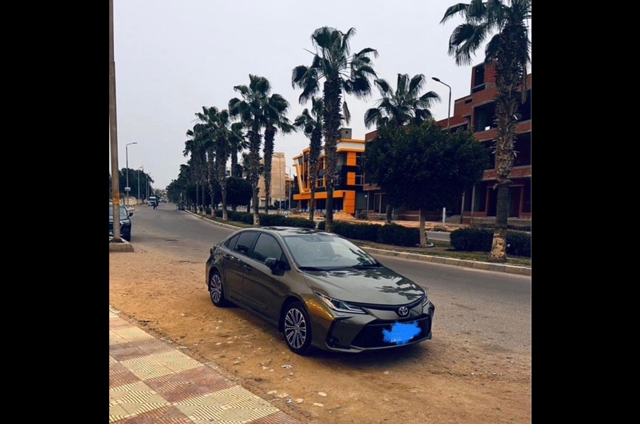 Corolla Toyota 2020 Gharbia Dark green 6169241 - Car for sale : Hatla2ee