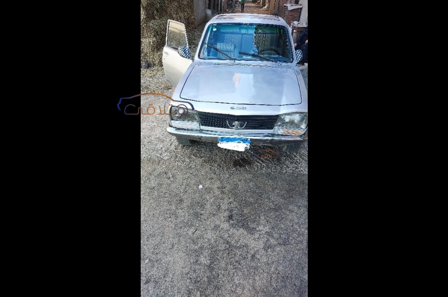 504 Peugeot 1976 Mansoura Silver 6759833 Car for sale Hatla2ee