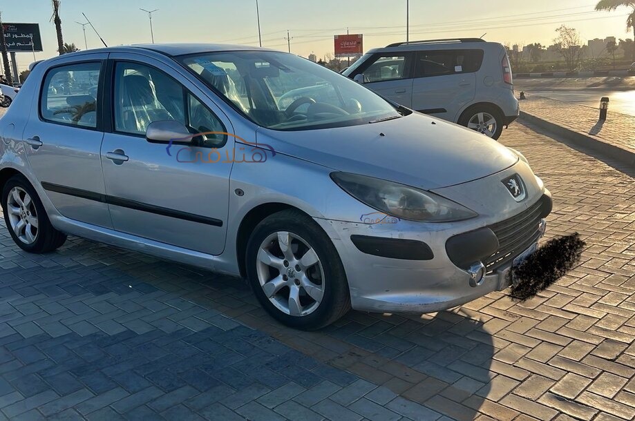 307 Peugeot 2007 Kafr el-Sheikh Silver 6876818 - Car for sale : Hatla2ee