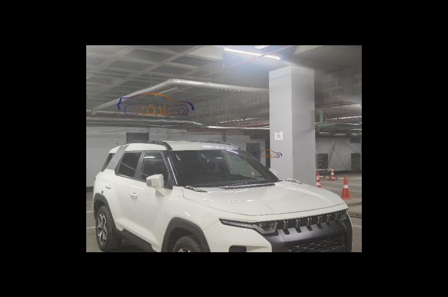 Torres Ssang Yong أبيض