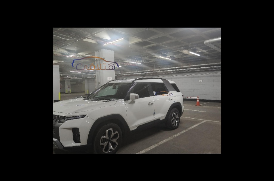 Torres Ssang Yong أبيض