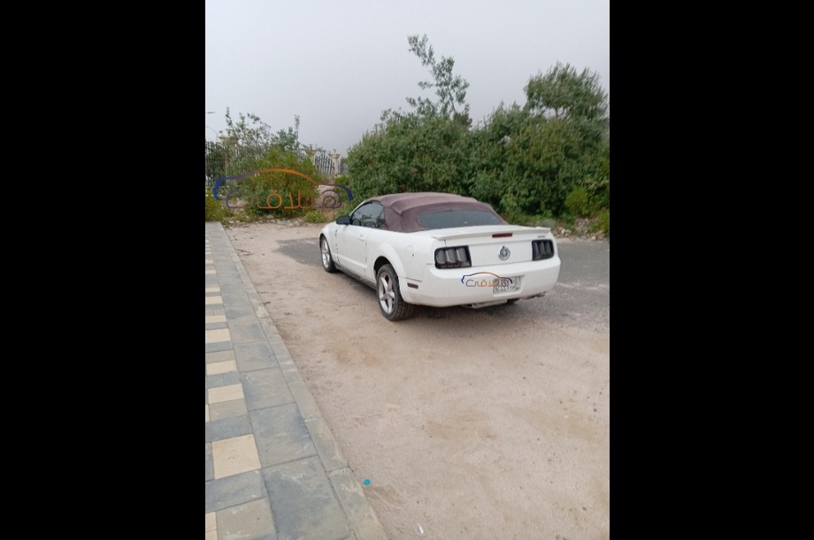 Mustang Ford White