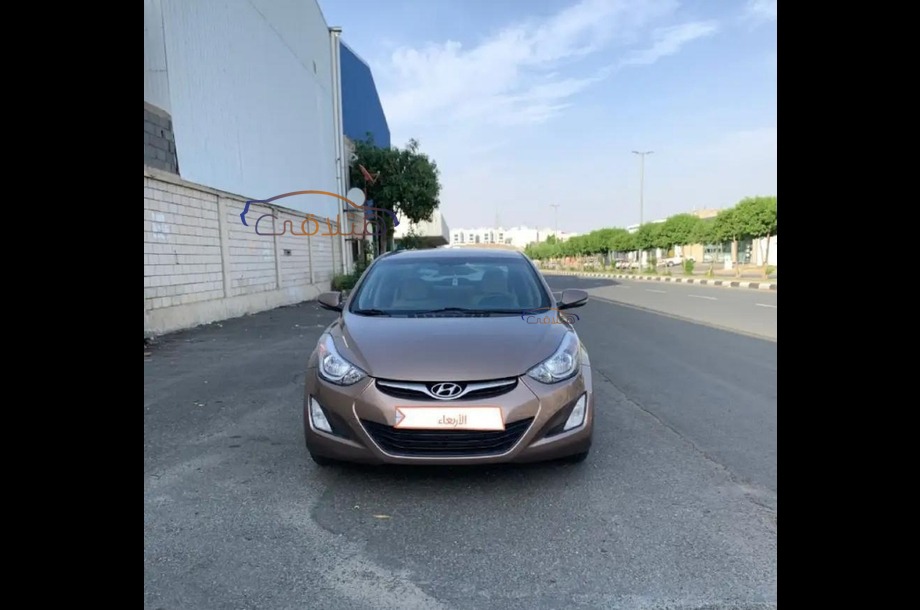 Elantra Hyundai Brown