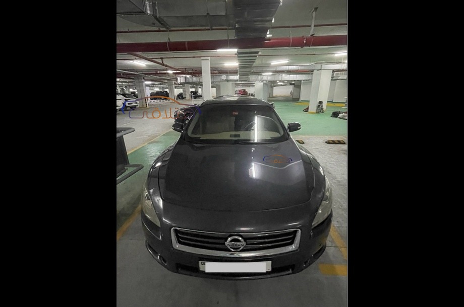 Maxima Nissan Silver