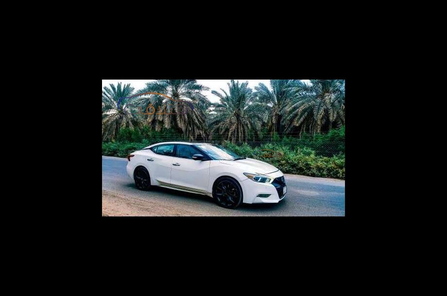 Maxima Nissan White
