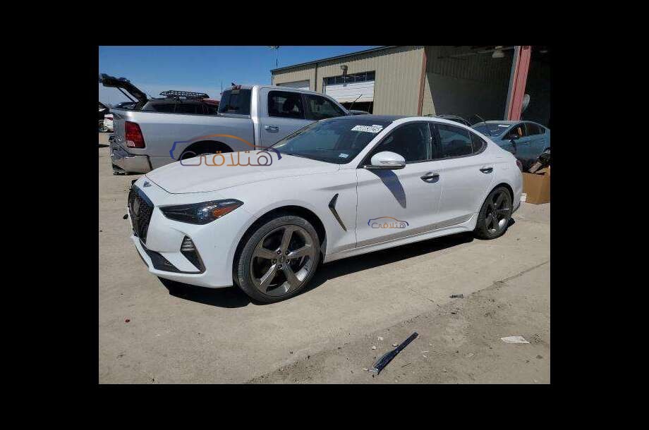 G70 Genesis White