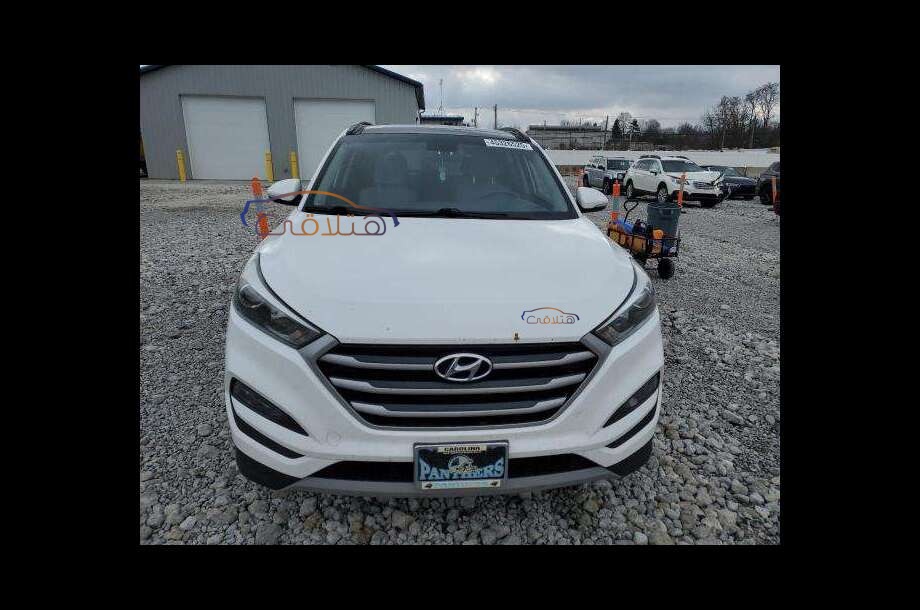 Tucson Hyundai White