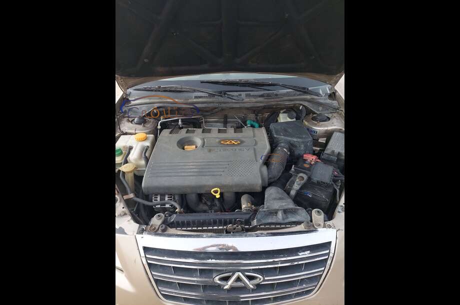 A516 Speranza ذهبي