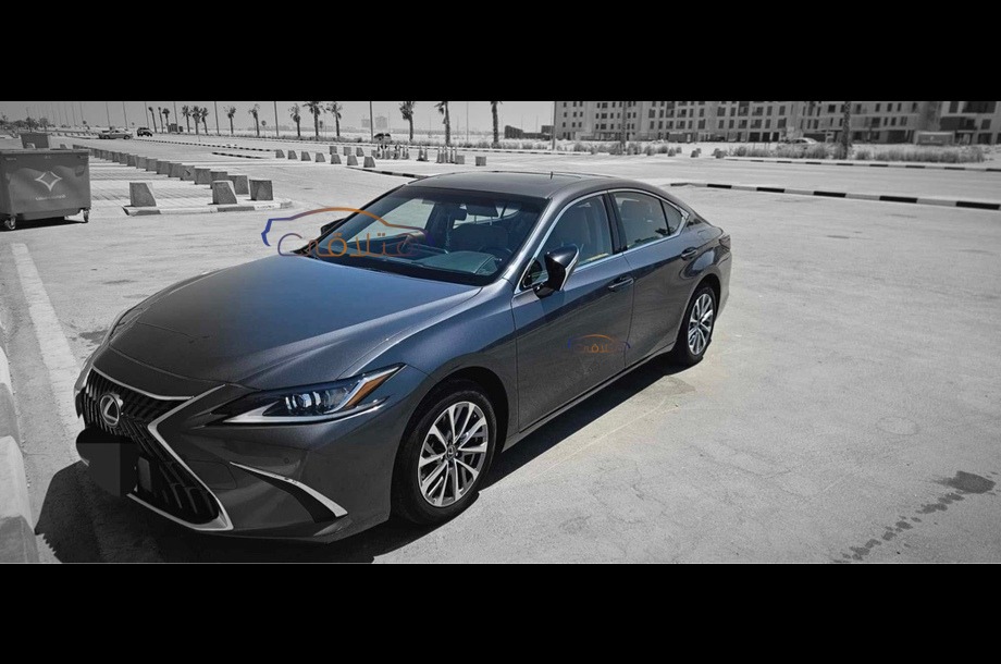 Es Lexus Dark grey