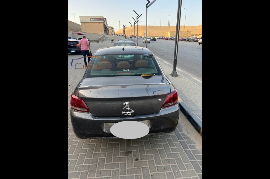 301 Peugeot Petroleum