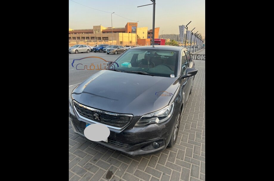 301 Peugeot Petroleum