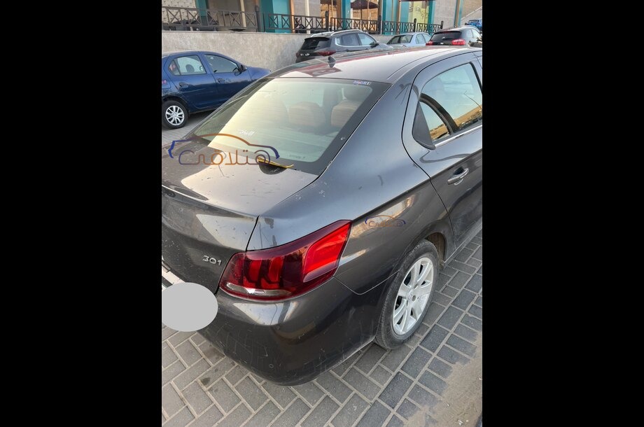 301 Peugeot Petroleum