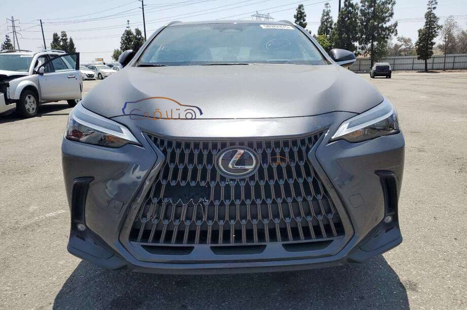 NX Lexus فضي