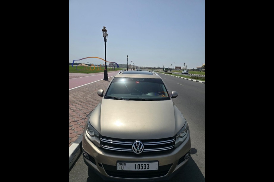 Tiguan Volkswagen Bronze