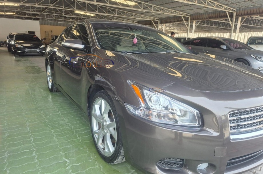 Maxima Nissan Bronze