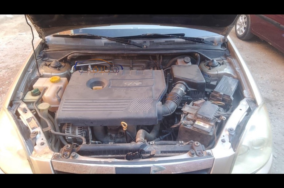 A516 Speranza برونزي