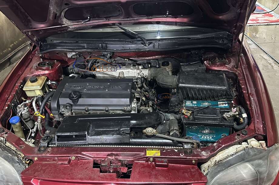 Sephia Kia احمر غامق