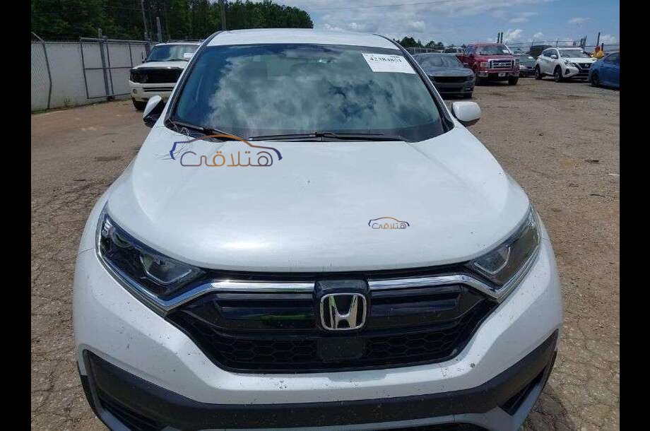 CRV Honda White