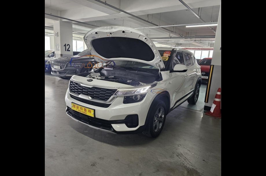 Seltos Kia White