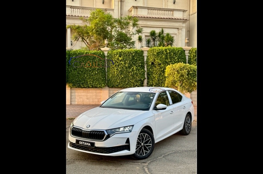 Octavia A8 Skoda أبيض