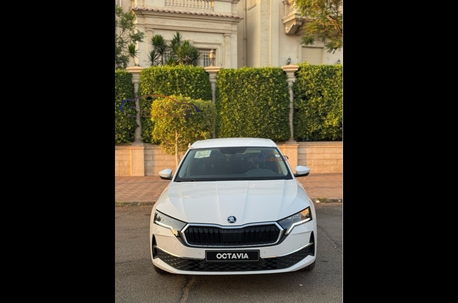 Octavia A8 Skoda أبيض