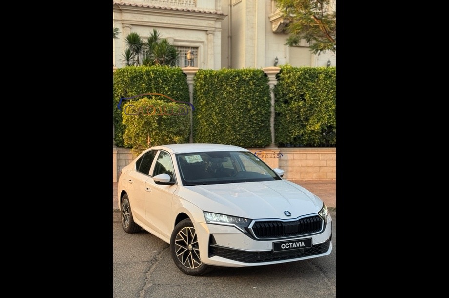 Octavia A8 Skoda أبيض