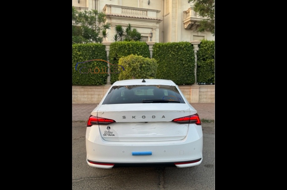 Octavia A8 Skoda أبيض