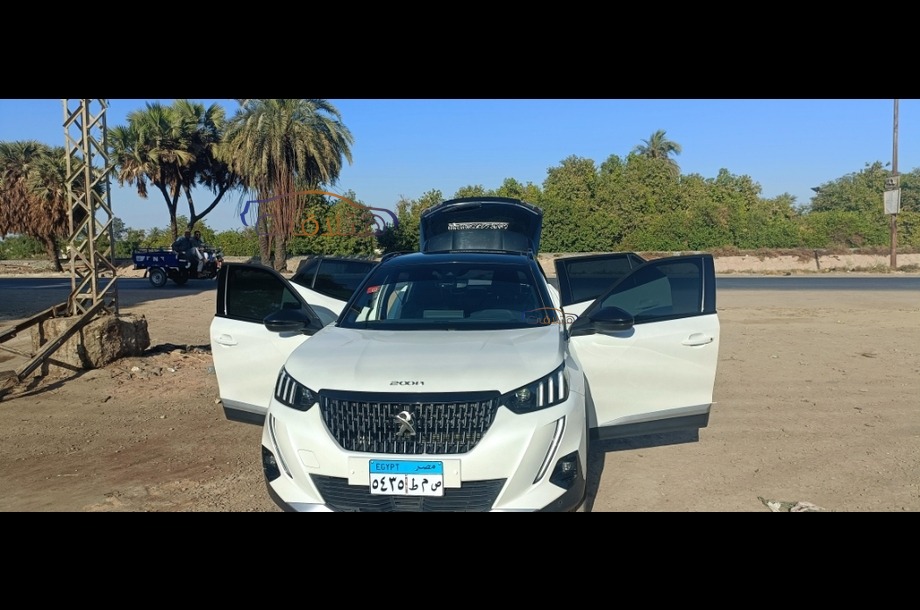 2008 Peugeot أبيض