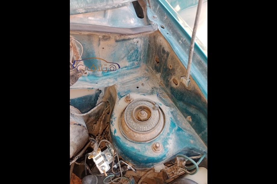 Pride Kia اخضر غامق