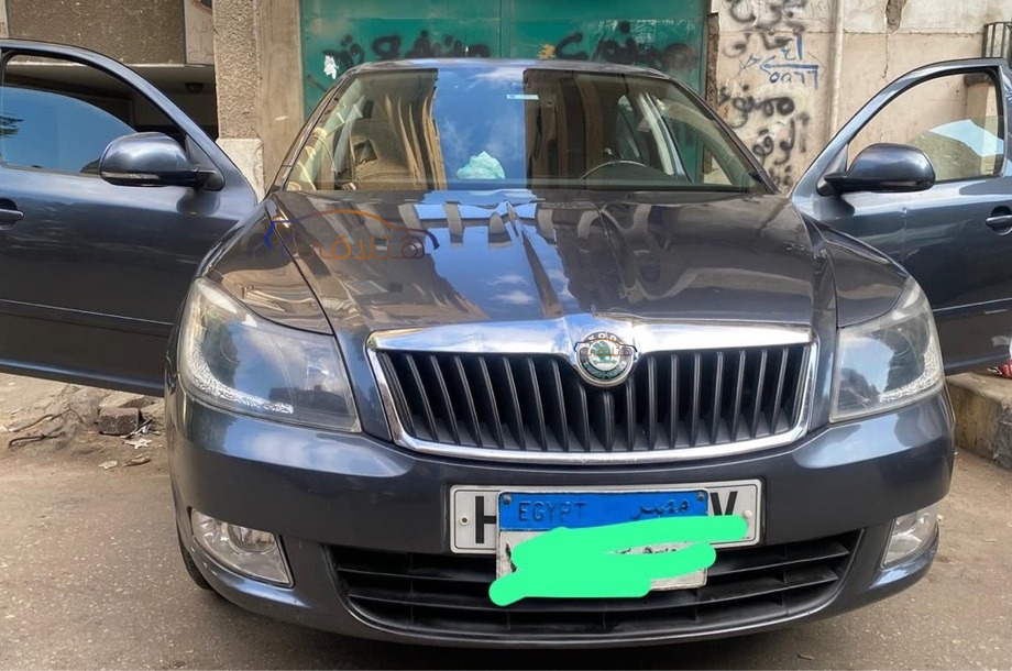 Fantasia Skoda بترولي