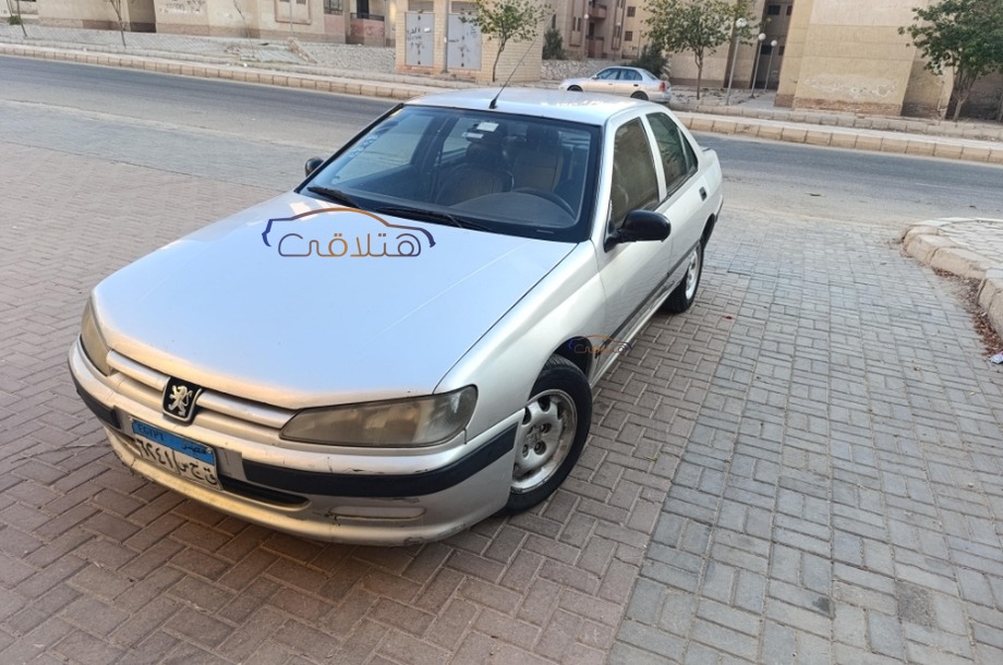 406 Peugeot Silver