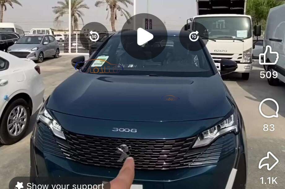 3008 Peugeot Petroleum