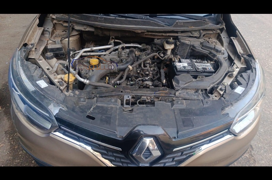 Kadjar Renault بني