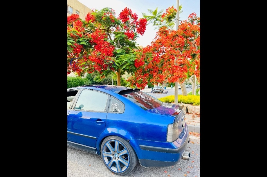 Passat Volkswagen Blue