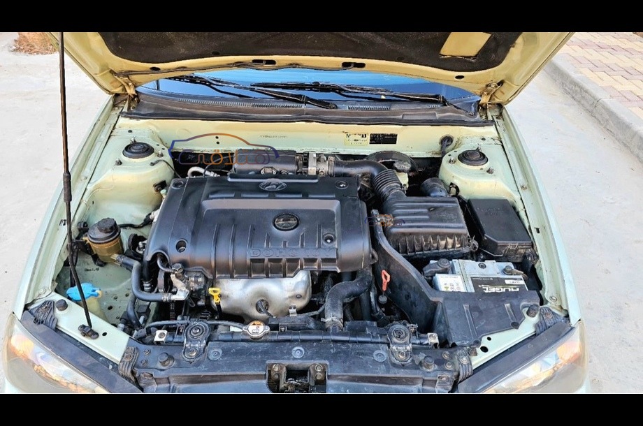 Elantra Hyundai أخضر