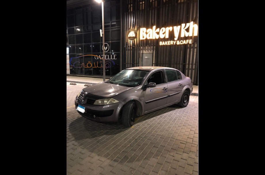 Megane Renault Bronze