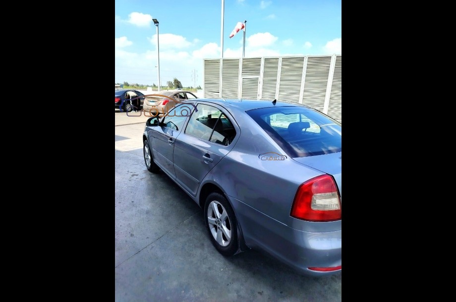 Fantasia Skoda فيراني