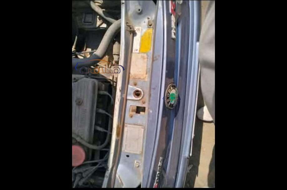 Felicia Skoda آخر