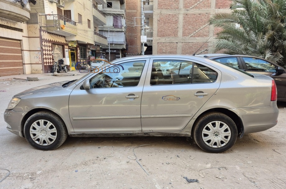 Fantasia Skoda Bronze