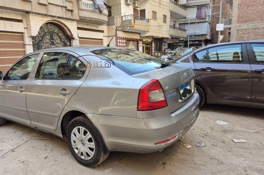 Fantasia Skoda Bronze