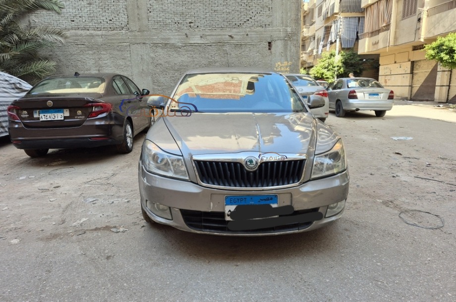 Fantasia Skoda Bronze