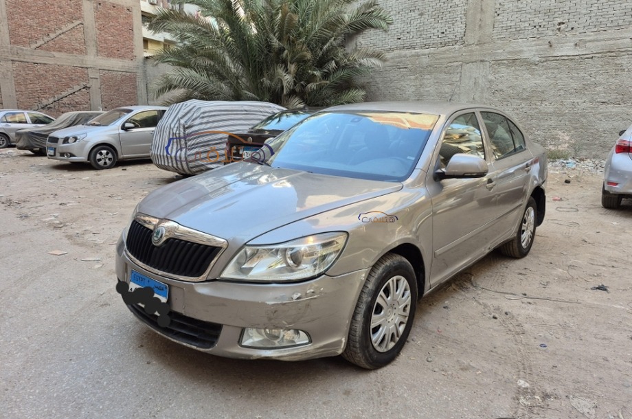 Fantasia Skoda Bronze