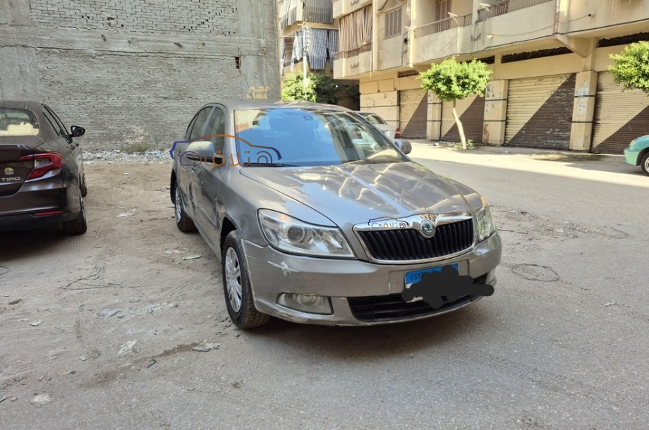 Fantasia Skoda Bronze