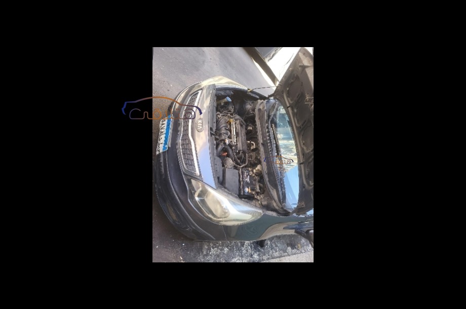 Rio Kia بترولي