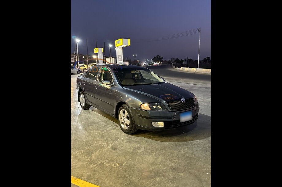 Octavia A5 Skoda Gray