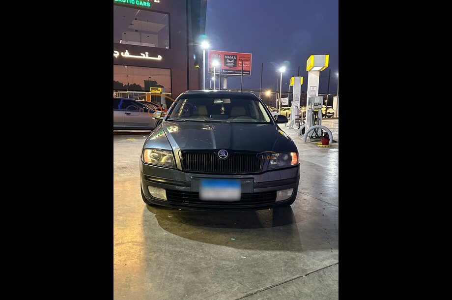 Octavia A5 Skoda Gray