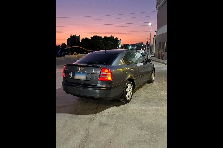 Octavia A5 Skoda Gray