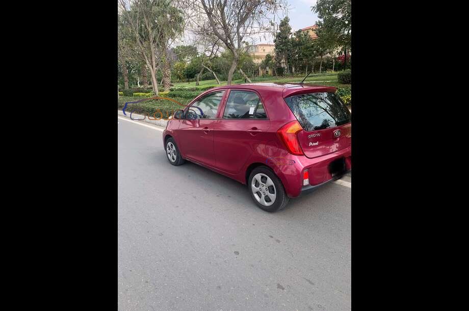 Picanto Kia Purple