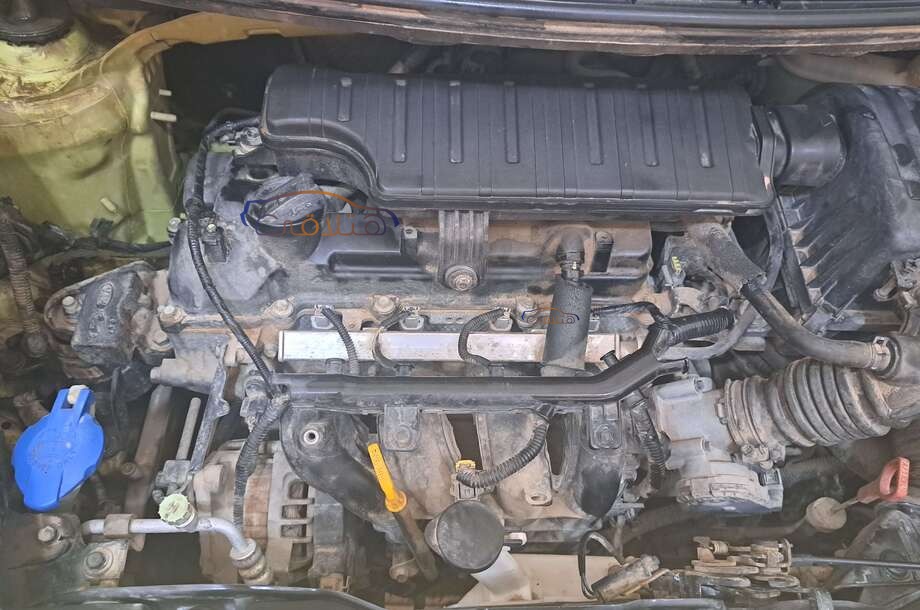 Picanto Kia أخضر